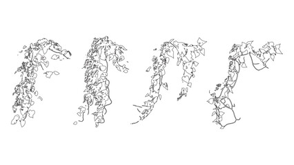 Dense Hanging Ivy Line Art Illustration