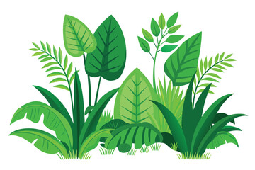 Set of Green Grass and Tropical Leaves Jungle Nature Landscape Vector Art Illustration