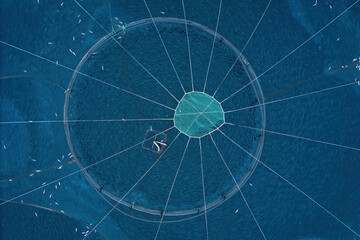 Offshore sea aquaculture fish farm with swimming fish in cage, aerial above shot