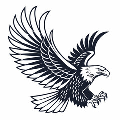 Obraz premium eagle with wings, Eagle silhouettee