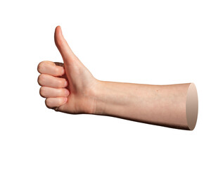 Thumb up hand gesture in approval position, showing consent, support, agreement, and validation.