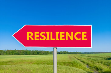 Resilience symbol. Concept word Resilience on beautiful red road sign. Beautiful blue sky green grass and forest peaceful nature background. Business resilience concept. Copy space.