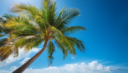 tropical palm tree swaying gently in the breeze against a vibrant blue sky
