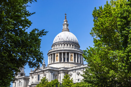 Fototapeta St. Paul's Cathedral Dome with Lush Greenery in London, England