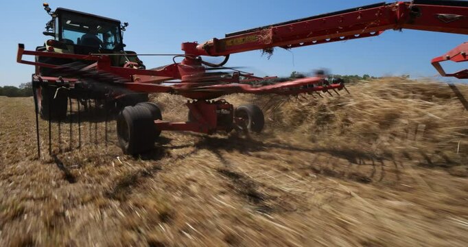 Making hay with the hay tedder, Southern France