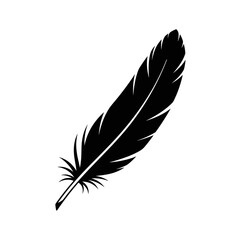 Black feather silhouette on white background  