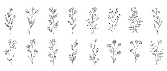 hand-drawn botanical illustrations of wildflowers and plants in black and white, perfect for vintage design and nature-themed artwork