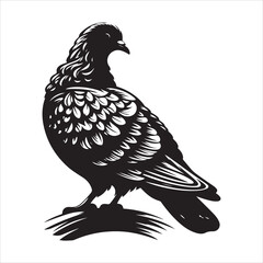 Fototapeta premium Silhouette vector of a pigeon in flight on white background