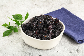 Natural organic sweet ripe blackberry