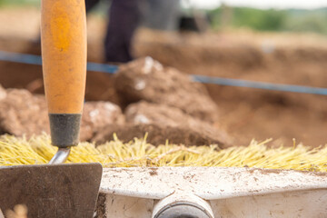 Precision Work in Progress at an Archaeological Site.