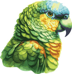 Fototapeta premium Adorable watercolor style illustration of a cute realistic parrot isolated on white background