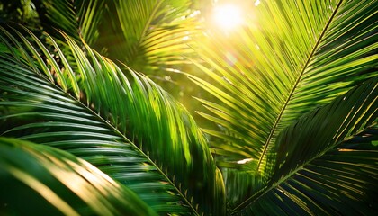 a vibrant tropical scene lush green palm leaves bathed in warm sunlight the rays of light pierce through the foliage casting soft shadows and creating a dreamy ethereal atmosphere