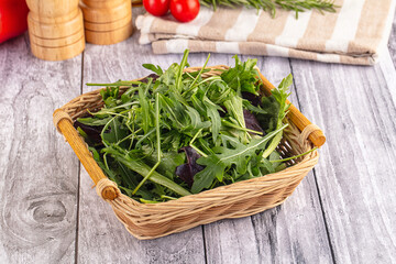 Fresh green ruccola salad leaves