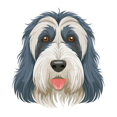 Bearded Collie Breed Dog Portrait with Shaggy Furry Coat Vector Illustration