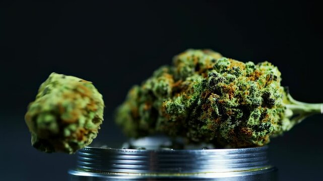 Cannabis bud dropping into metal grinder on black background in slow motion