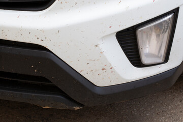 Insects on the car bumper. Car washing and chemical cleaning.