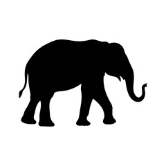 Fototapeta premium Black silhouette of elephant walking on white background vector illustration