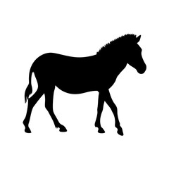 Obraz premium Black silhouette of zebra running on white background vector illustration