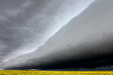 Dark shelf cloud in Illinois foreshadows a violent storm raging in from the west