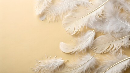 white feather on blue background White Feathers on Cream Background &ndash; Left Aligned with Empty Space