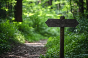 Wooden signpost guiding the way through a tranquil green forest path on a sunny day, Wooden signpost in lush green forest along tranquil path