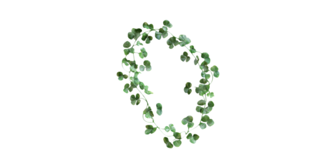 Clover Leaf Wreath. Symbol Of Luck And St. Patrick'S Day Celebration Isolated On Transparent Background