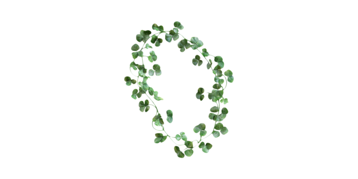 Clover Leaf Wreath. Symbol Of Luck And St. Patrick'S Day Celebration Isolated On Transparent Background - Powered by Adobe