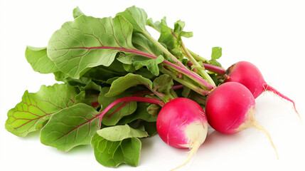 Radishes isolated on white background