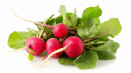 Radishes isolated on white background