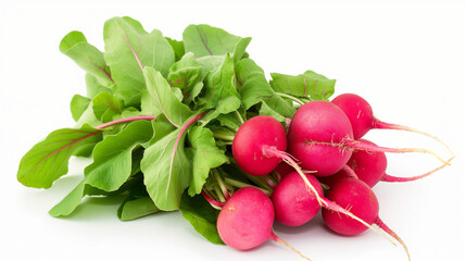 Radishes isolated on white background