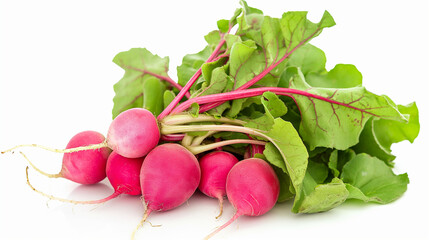 Radishes isolated on white background