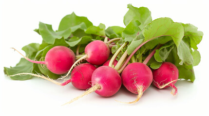 Radishes isolated on white background