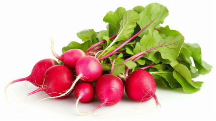 Radishes isolated on white background