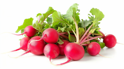 Radishes isolated on white background