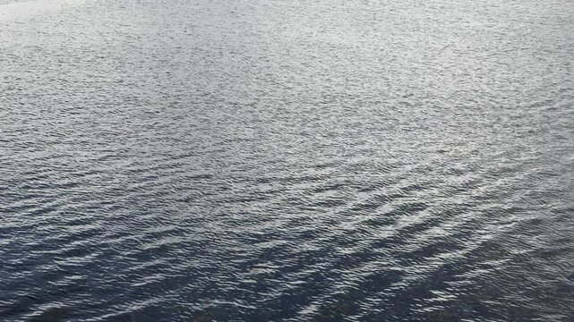 Ripples, waves on water, water texture 
