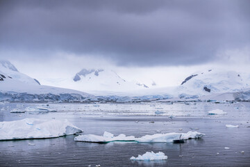 Beautiful paradise harbor in Antarctica under overcast sky