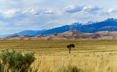 Great Sand Dunes with mountains in the background, Colorado, USA.