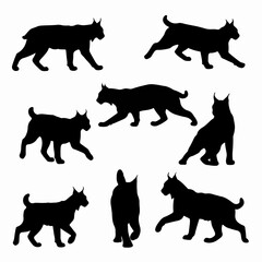 Lynx silhouettes, animal wildlife poses, black wildcat