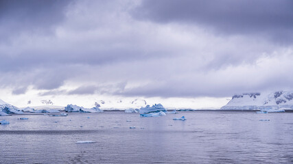 Fototapeta premium Beautiful paradise harbor in Antarctica under overcast sky