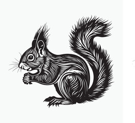 squirrel silhouette on a white background