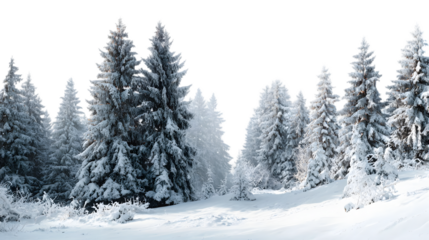 Majestic winter snow covered pine trees forest landscape icy cold view on transparent background