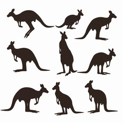 Kangaroo silhouettes australia animal wildlife mammal
