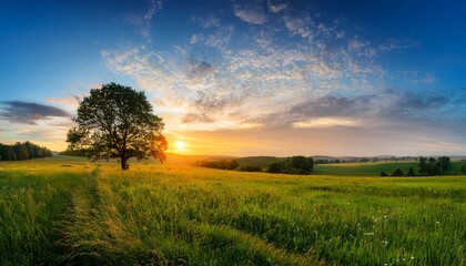 tranquil panoramic rural landscape scenery in an early summer morning after sunrise with a tree on green meadows and colorful clouds in the gold and blue sky
