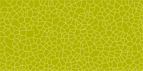 yellow melon texture