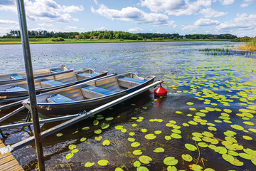 Several aluminum fishing boats moored at wooden pier on calm lake with green lily pads and cloudy...