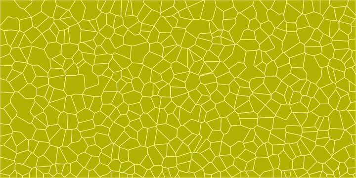 yellow melon texture