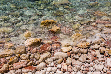 Clear coastal water with submerged algae and colorful rocks. Marine textures, biodiversity, and natural coastal ecosystem