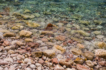Clear coastal water with submerged algae and colorful rocks. Marine textures, biodiversity, and natural coastal ecosystem