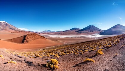 atacama desert in bolivia