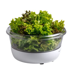 Fresh Salad Greens in a Modern Bowl:  Healthy Eating, Vegan Recipes, and Culinary Photography